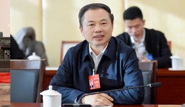 兩會(huì)季丨圍繞區(qū)域經(jīng)濟(jì)，張?zhí)烊未硖峤贿@些建議