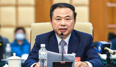 兩會(huì)季丨圍繞新能源產(chǎn)業(yè)，張?zhí)烊未硖峤贿@些建議